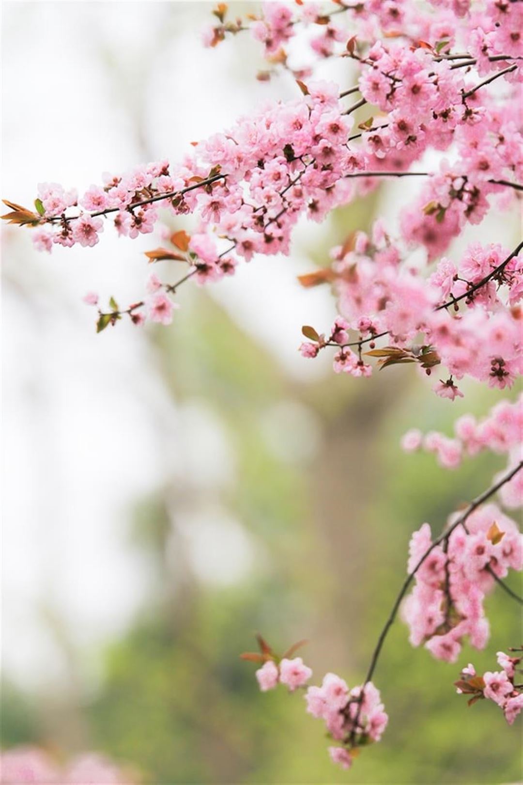 Få det bedste ud af din have med gødning fra HaveVerden.dk