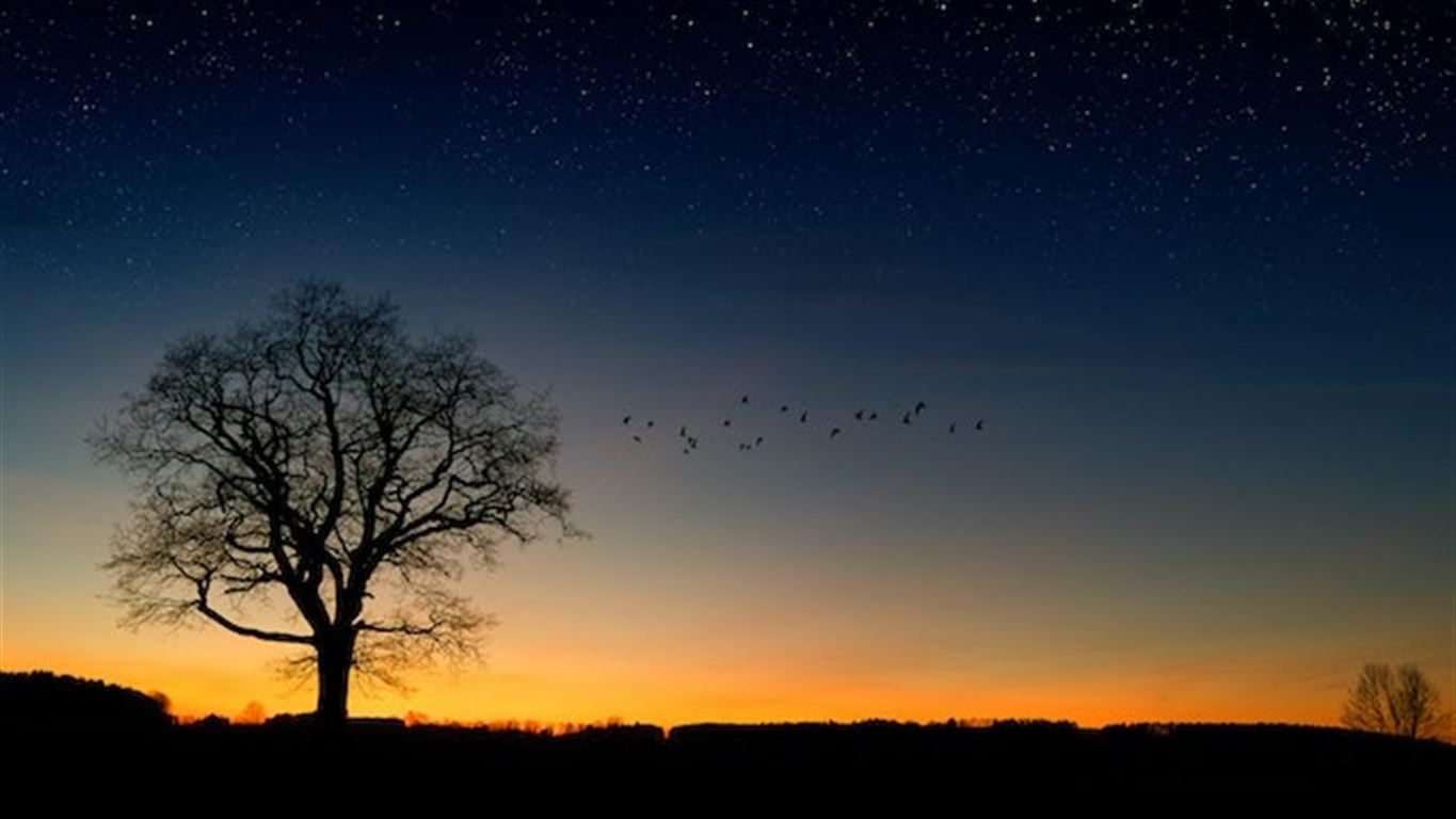 Nyd den smukke natur i og omkring Rønde