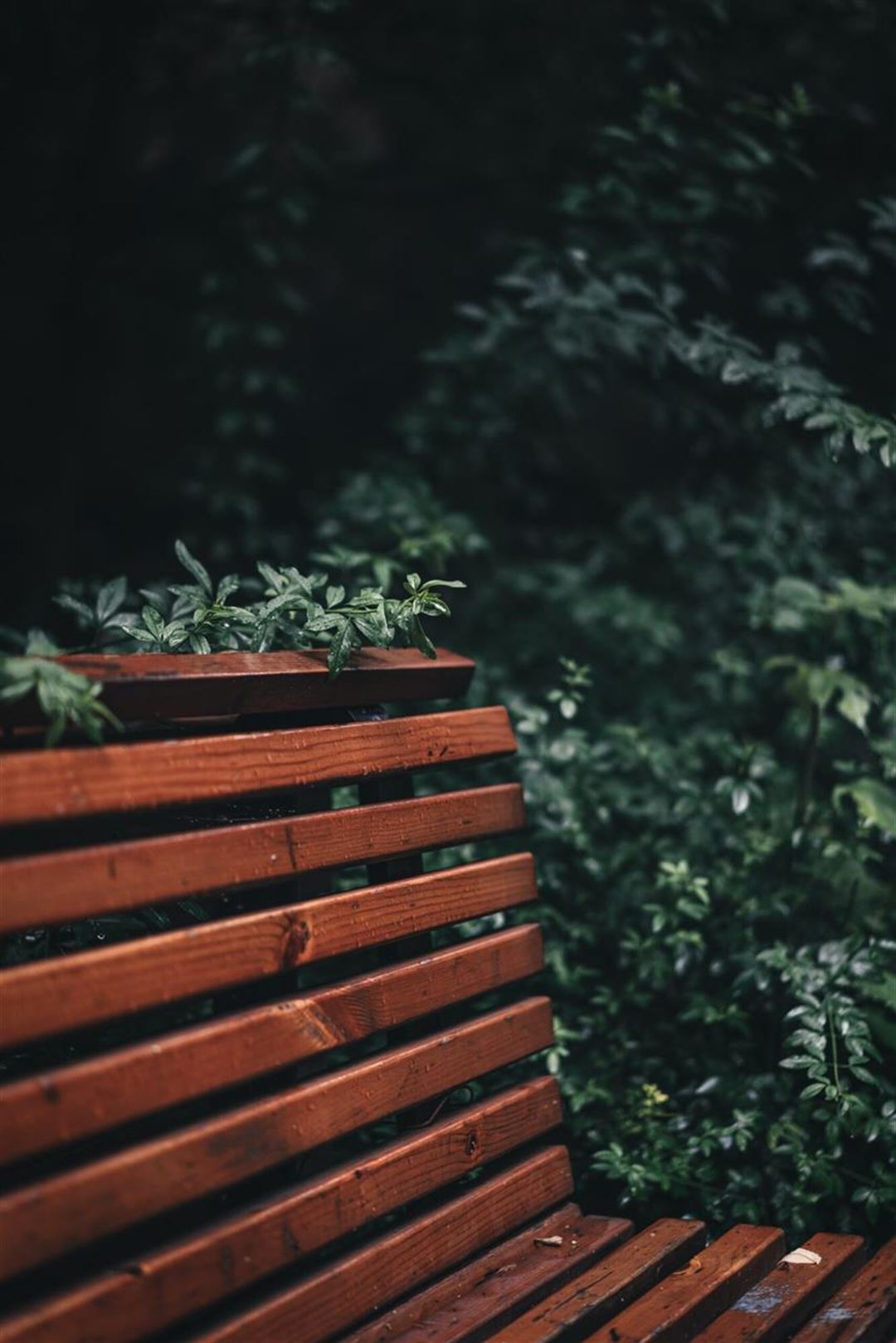 Med en havebænk kan du skabe hygge i haven og udvide dit hjem