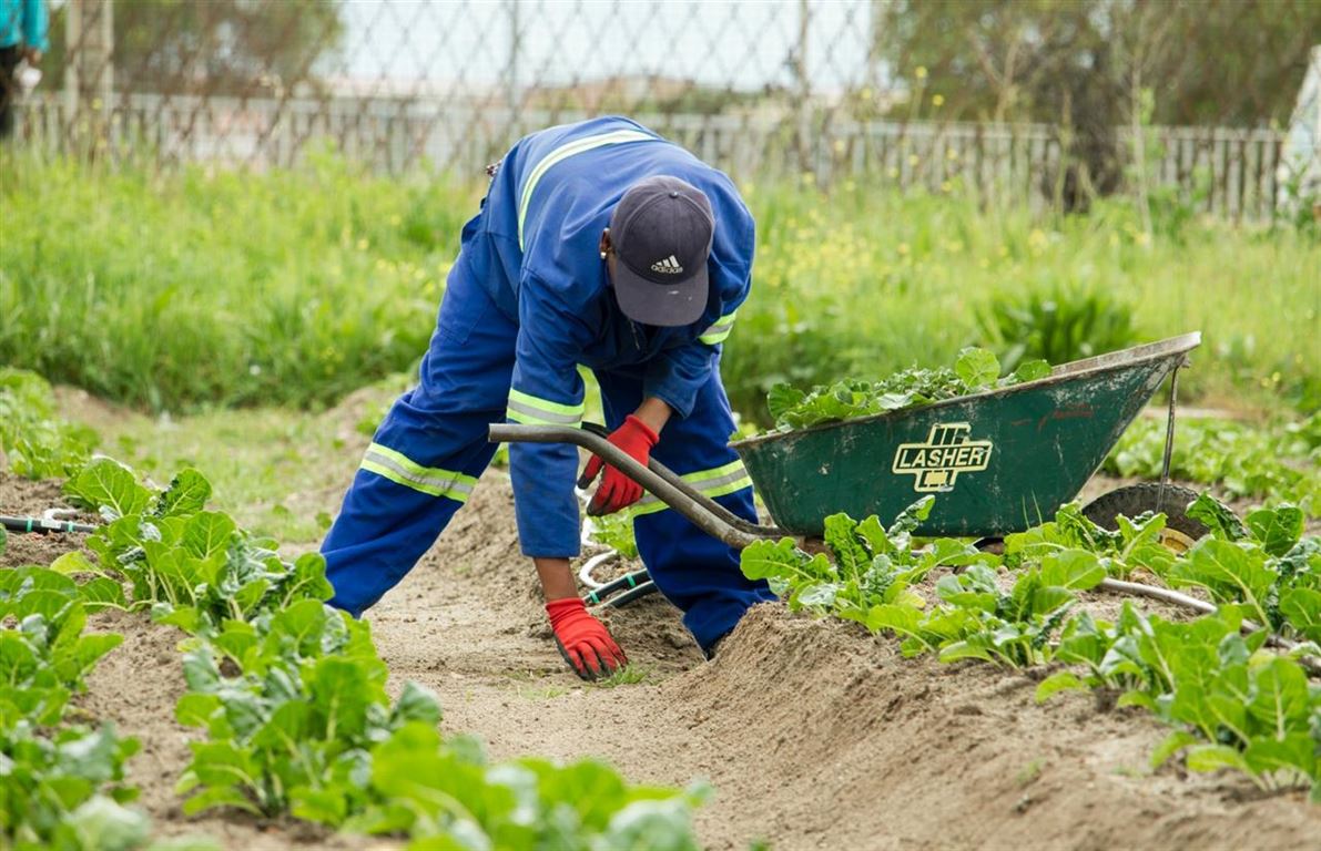 Er du en vaskeægte handyman eller handywoman?