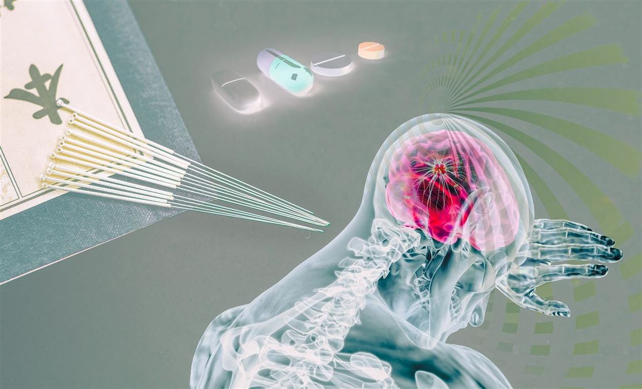 Akupunktur uddannelse i Århus – lær om kroppens anatomi